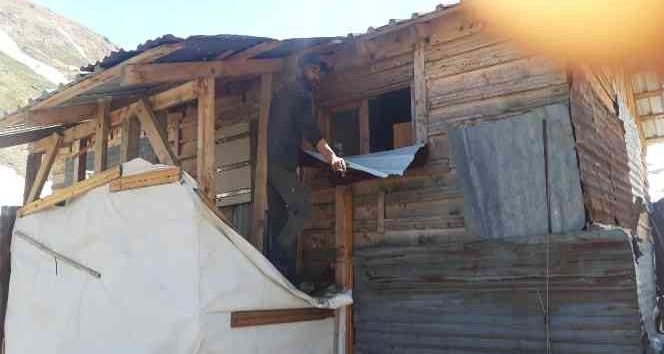 Aç kalan ayılar yayla evlerini talan etti