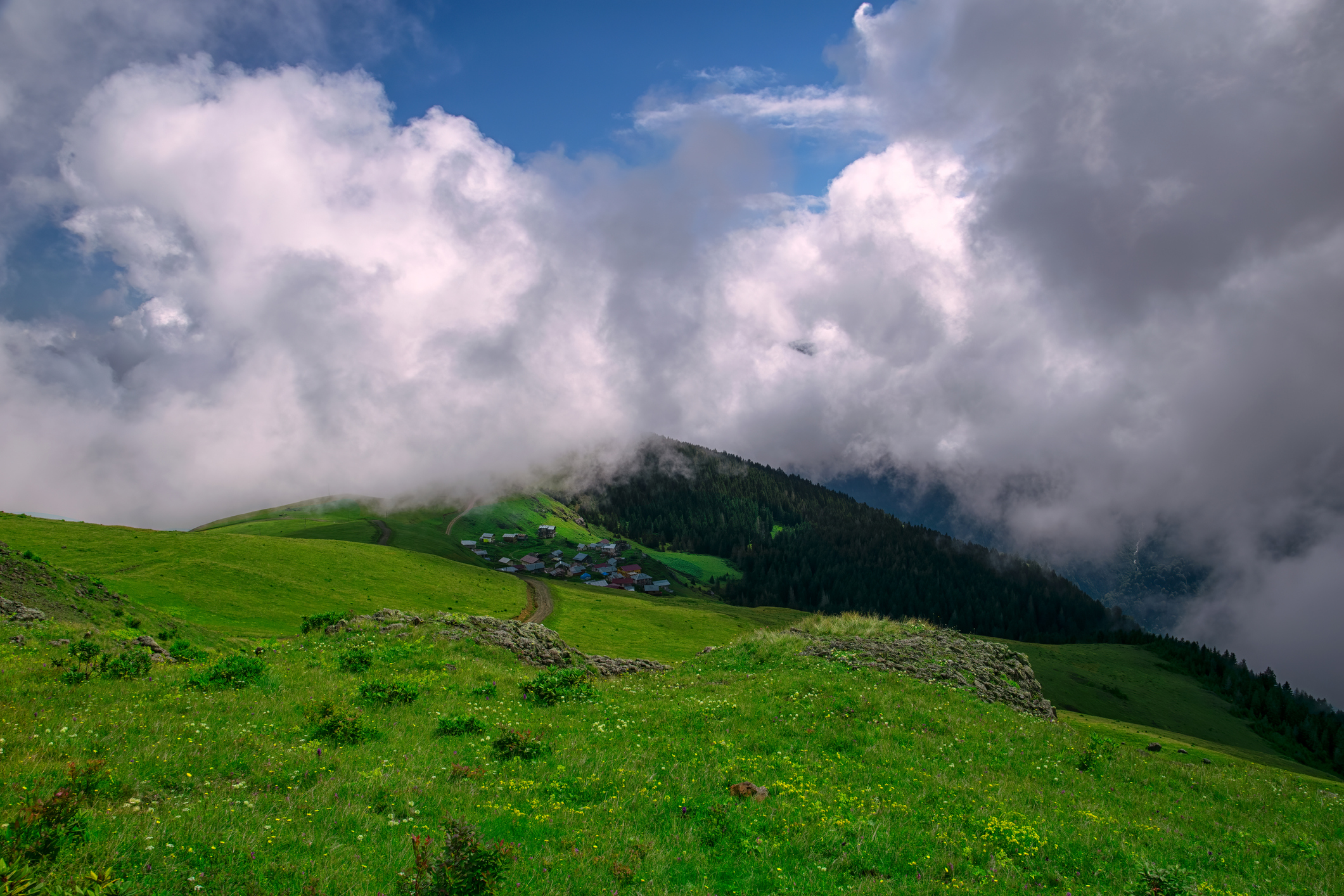 iStock-1398400688