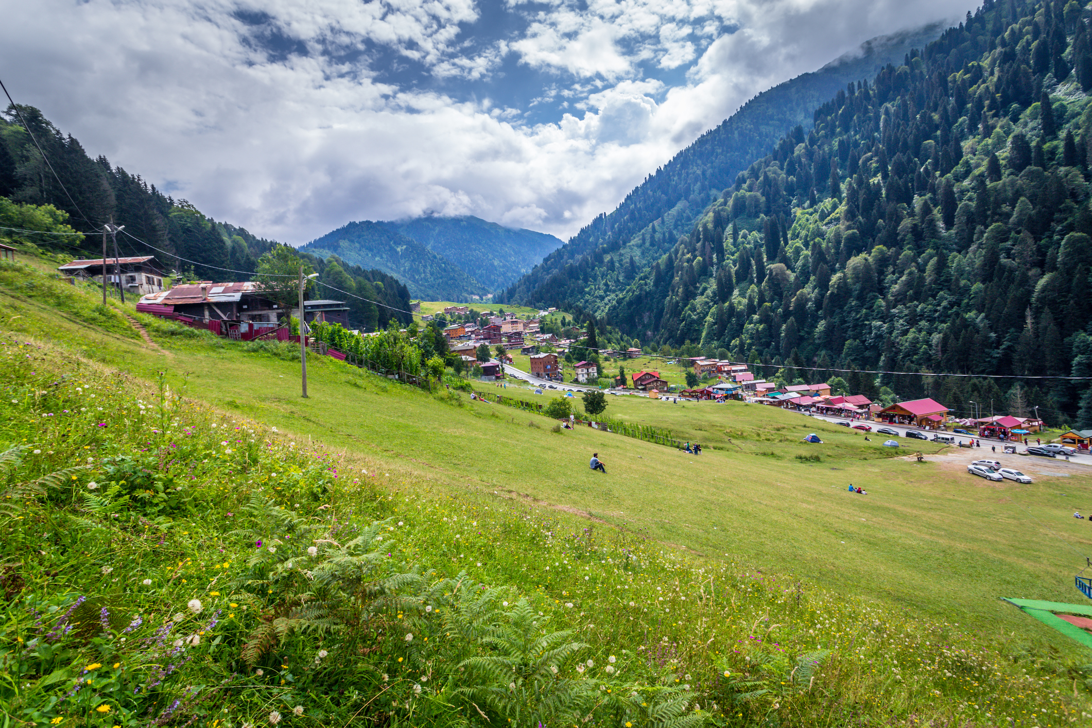 iStock-882051376