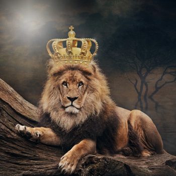king-3832148_960_720