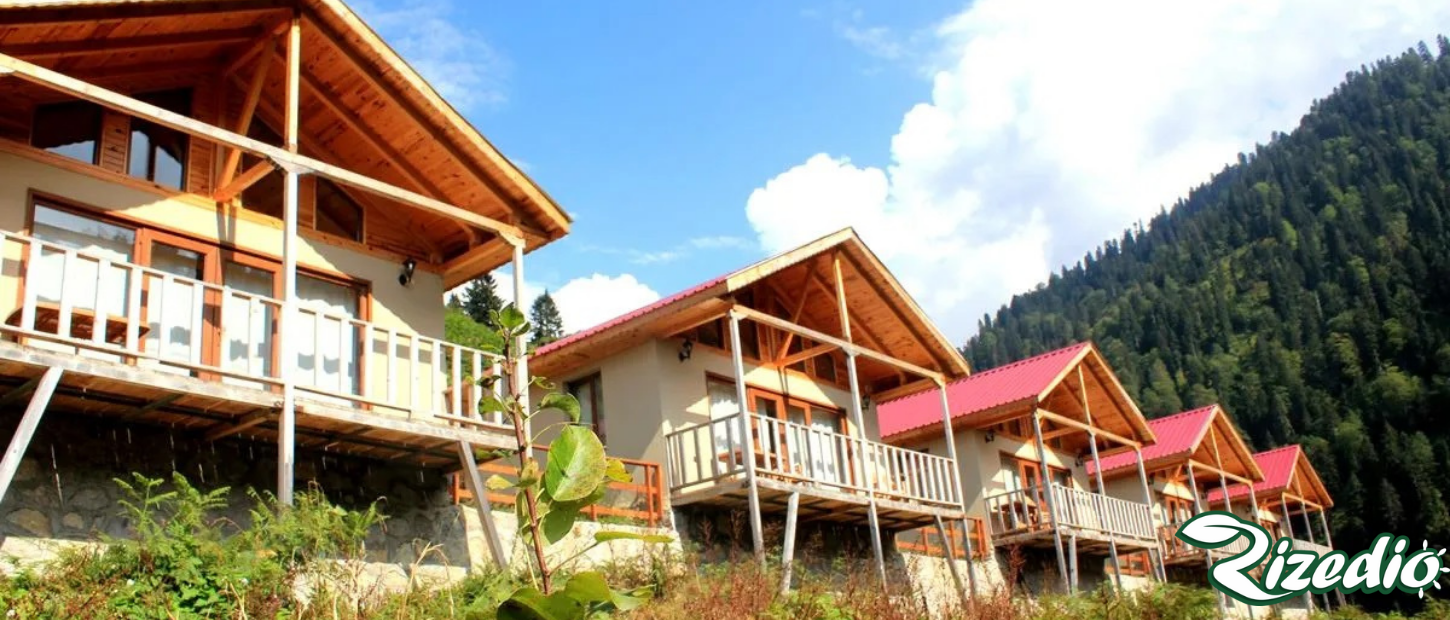 ayder